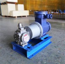 齒輪泵 齒輪油泵，圓弧齒輪泵 發(fā)貨通知